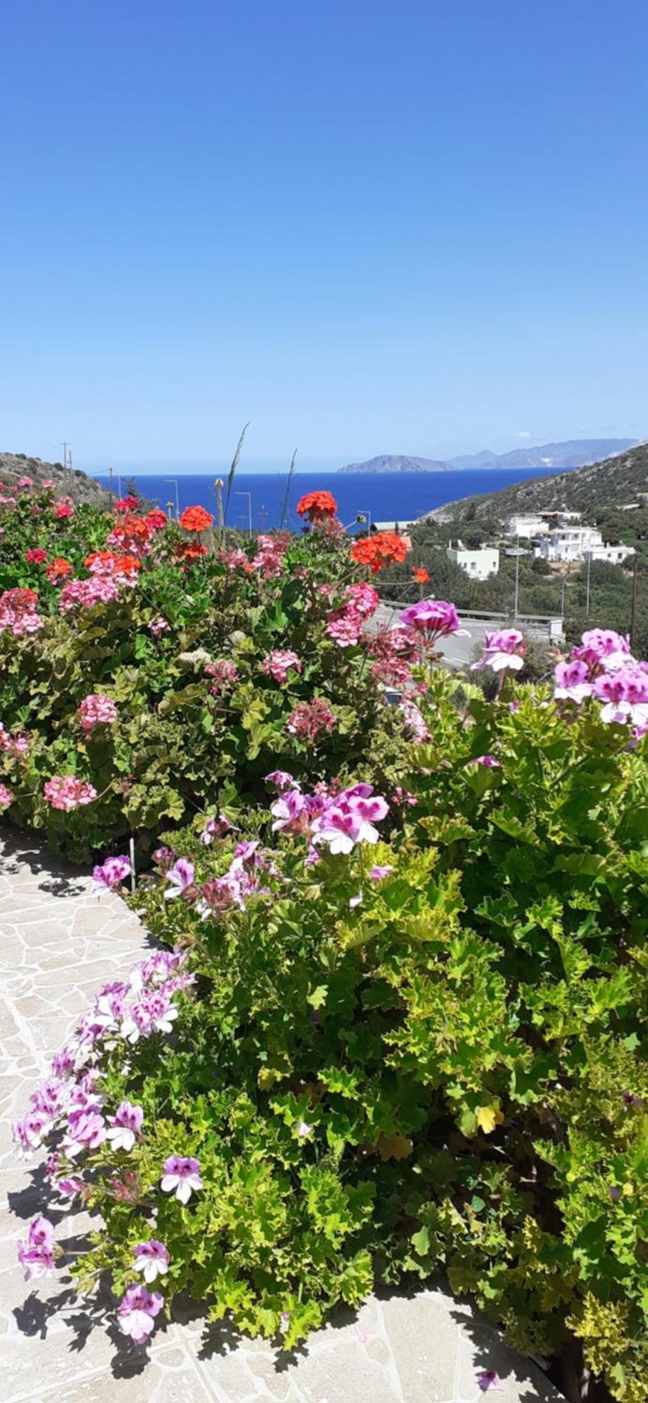 Hari Apartments Vathi, Agios Nikolaos Crete Extérieur photo