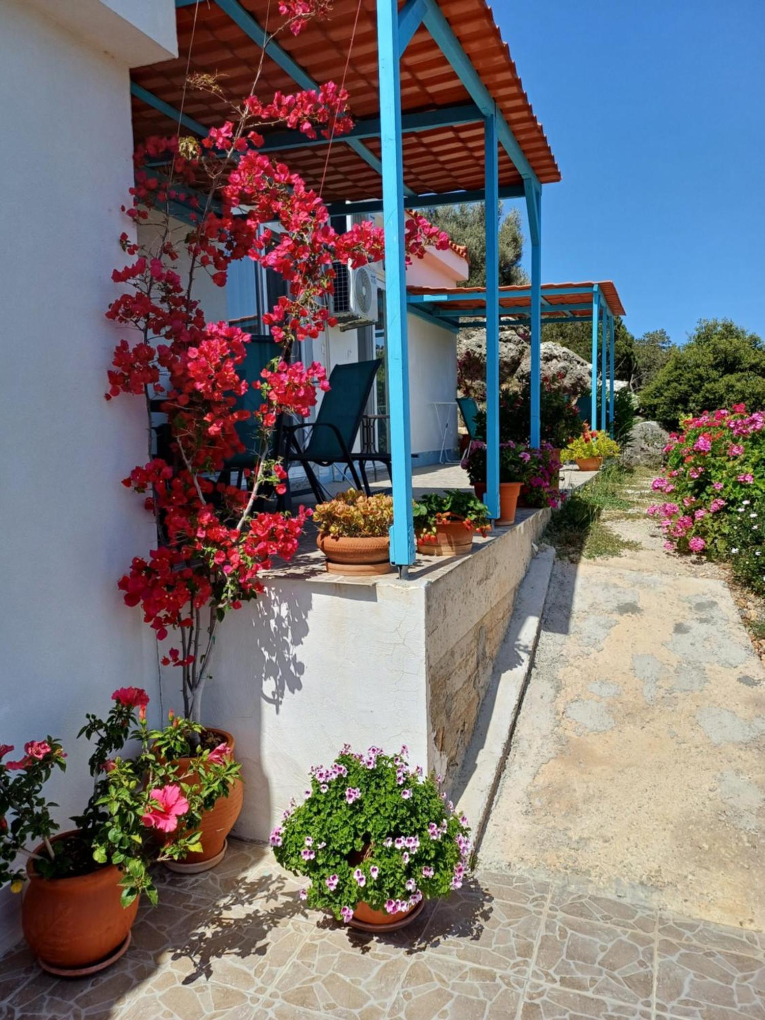 Hari Apartments Vathi, Agios Nikolaos Crete Extérieur photo
